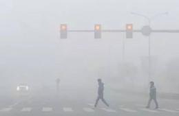 大霧天氣誤闖了交通信號燈怎么辦？